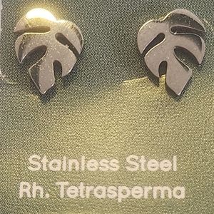 Stainless steel earrings